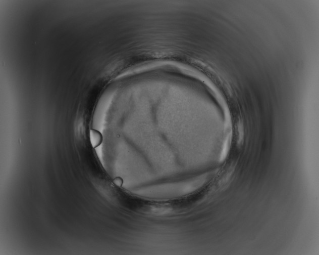 X0000086770214200705111741