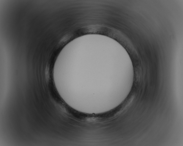 X0000086770216200705111741