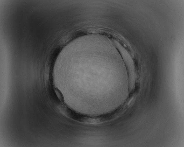 X0000086770217200705111741