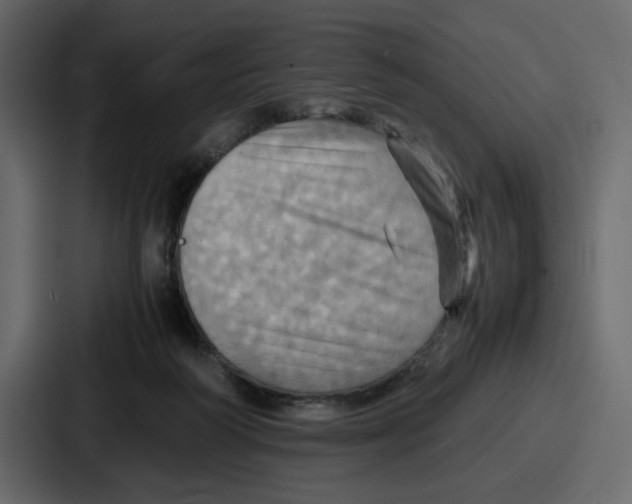X0000086770218200705111741