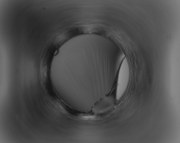 X0000086770219200705111741