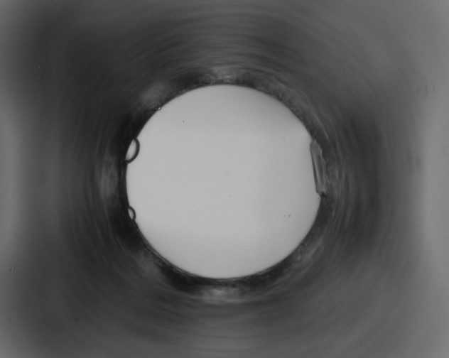 X0000086770220200705111741
