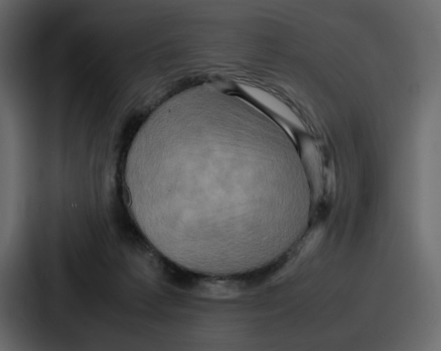 X0000086770221200705111741