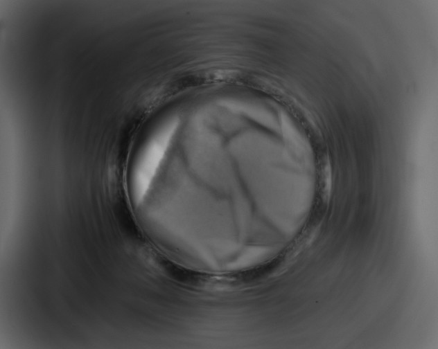 X0000086770222200705111741