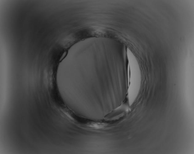 X0000086770223200705111741