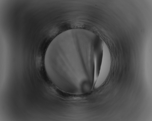X0000086770224200705111741