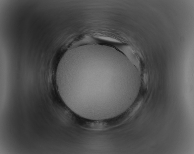 X0000086770225200705111741