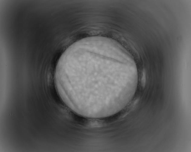 X0000086770226200705111741