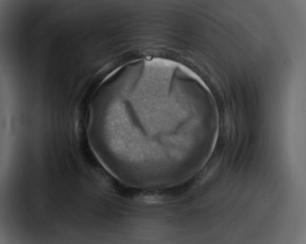X0000086770228200705111741