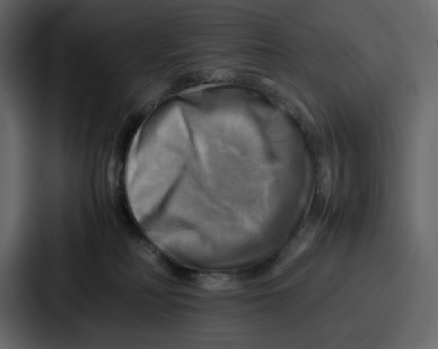 X0000086770230200705111741