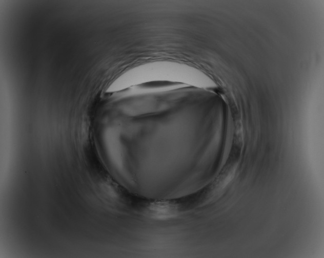 X0000086770231200705111741