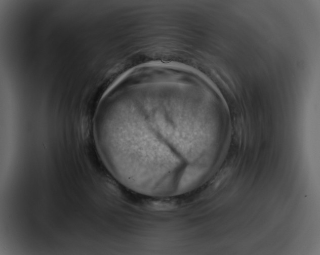 X0000086770232200705111741