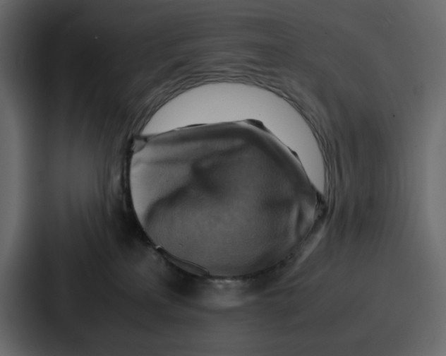 X0000086770233200705111741