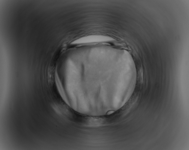X0000086770234200705111741