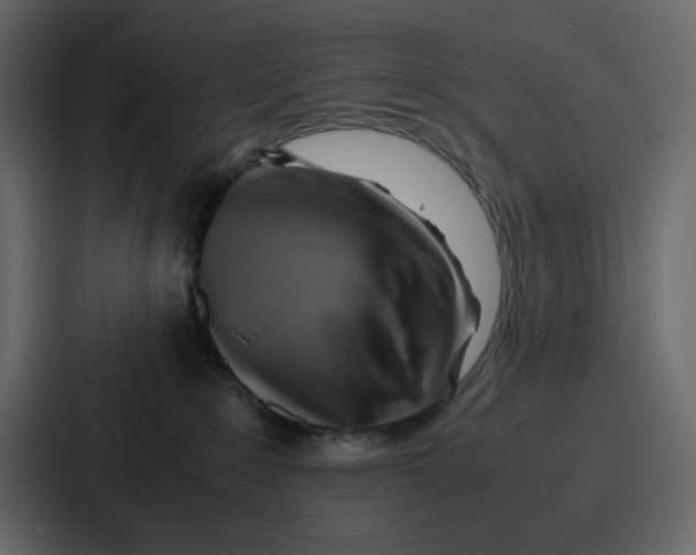 X0000086770235200705111741