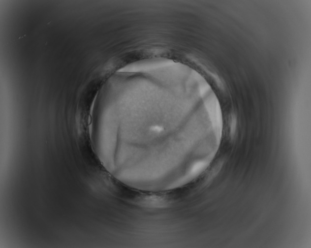 X0000086770236200705111741