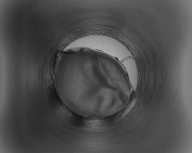 X0000086770237200705111741