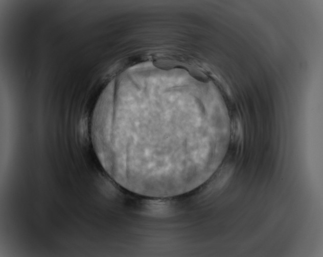 X0000086770238200705111741