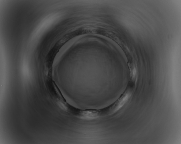 X0000086770239200705111741