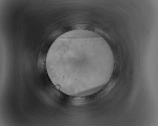 X0000086770240200705111741
