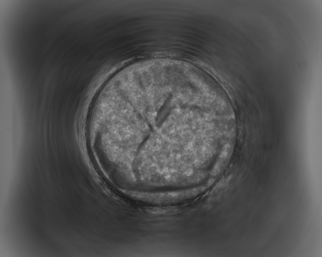 X0000086770241200705111740