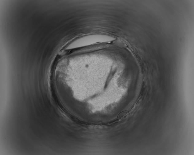 X0000086770242200705111741