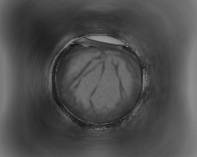 X0000086770243200705111741