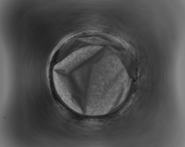 X0000086770244200705111741