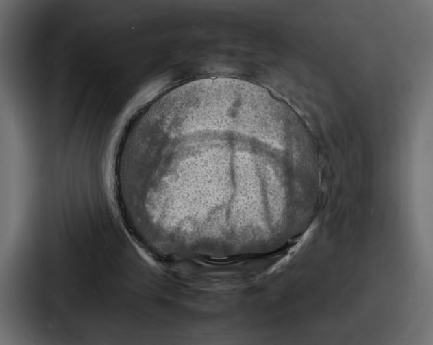 X0000086770245200705111741