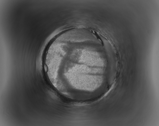 X0000086770246200705111741