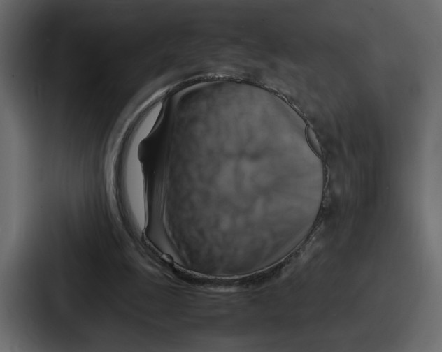 X0000086770247200705111741