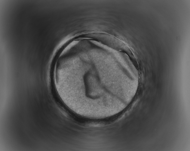 X0000086770248200705111741
