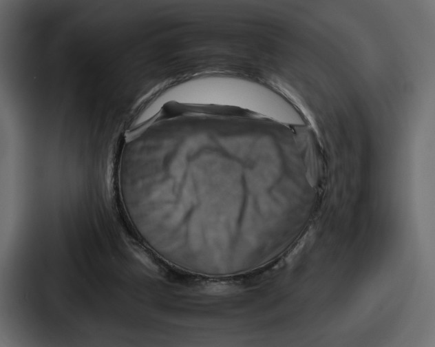 X0000086770249200705111741