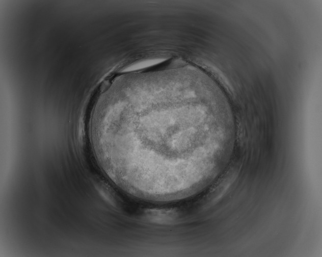X0000086770251200705111741