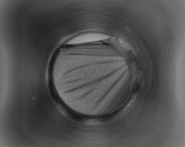 X0000086770252200705111741