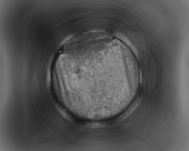 X0000086770253200705111741