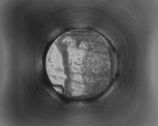 X0000086770254200705111741