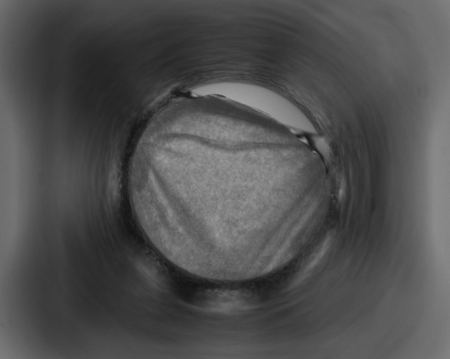 X0000086770255200705111741