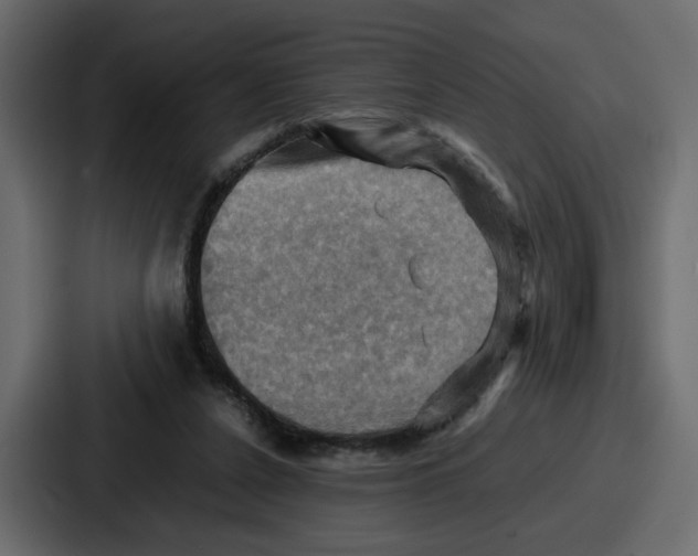 X0000086770256200705111741