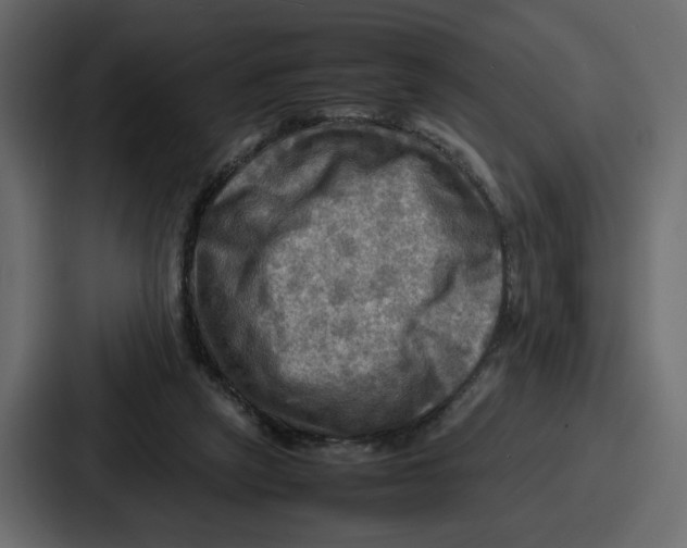 X0000086770257200705111741