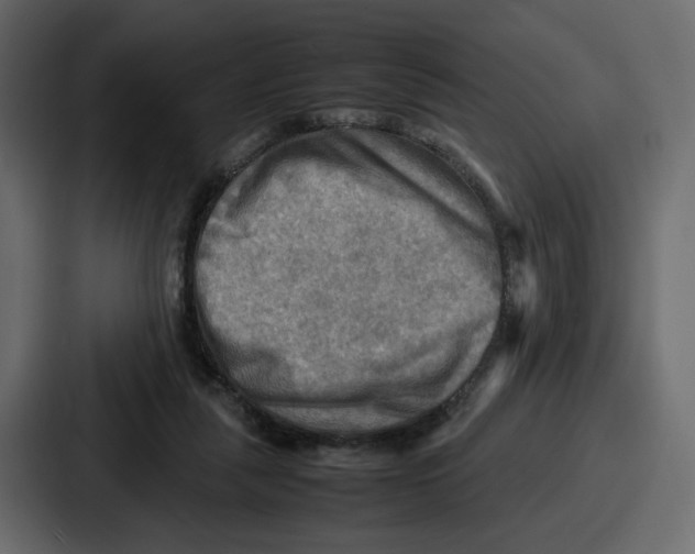 X0000086770259200705111741