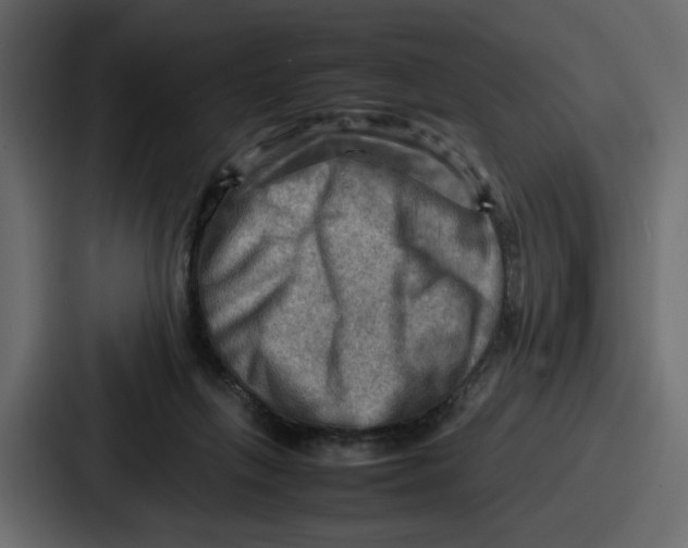 X0000086770263200705111741