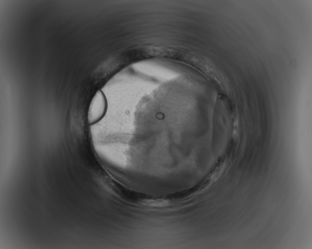 X0000086770266200705111741