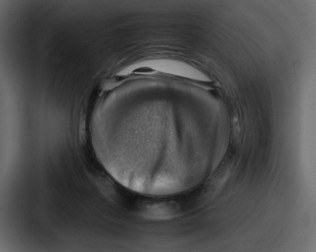X0000086770267200705111741