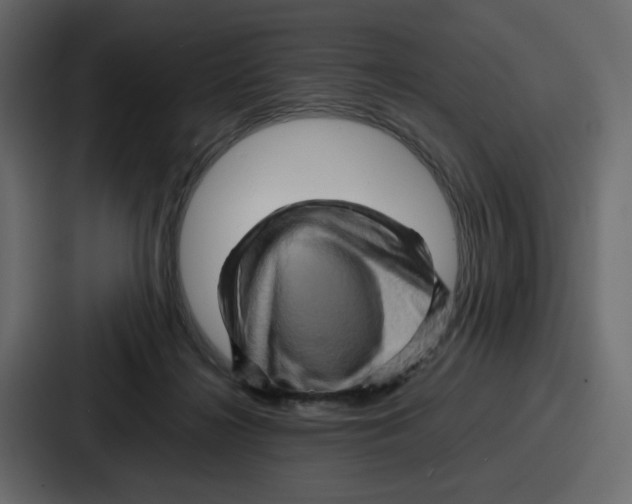 X0000086770268200705111741