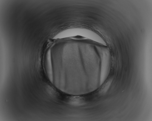 X0000086770269200705111741