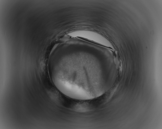 X0000086770271200705111741