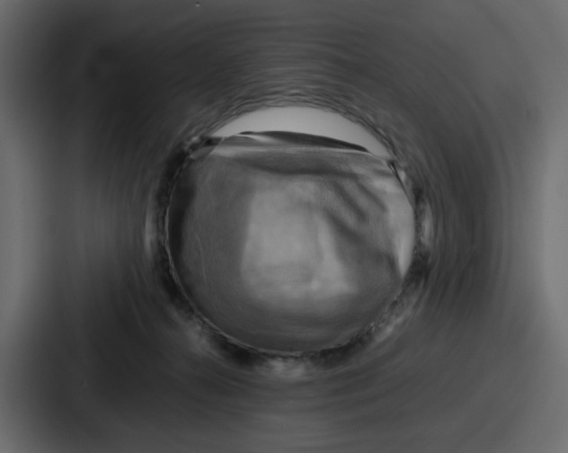 X0000086770272200705111741