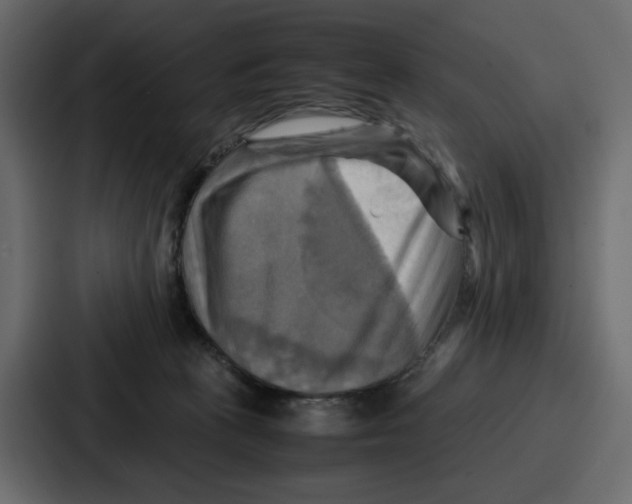 X0000086770273200705111741