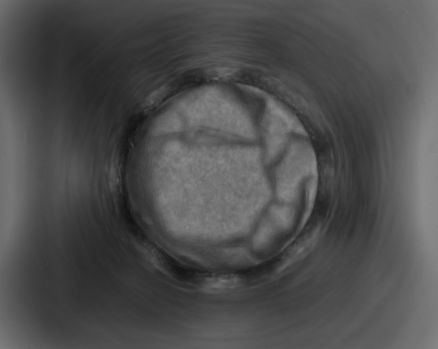 X0000086770274200705111741
